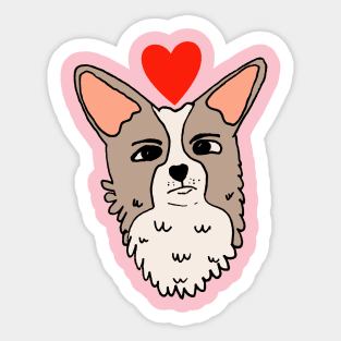 Fluffy Grumpy Corgi Puppy Sticker